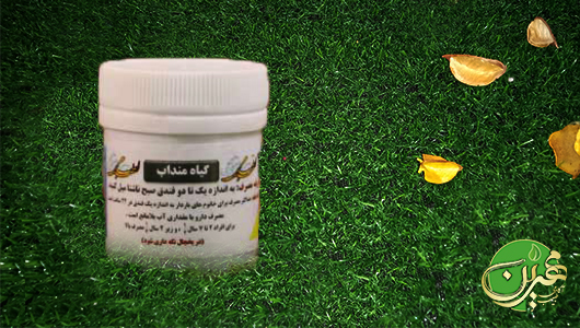 خرید دارو سودابر یا منداب - (درمان مزاج سودا)