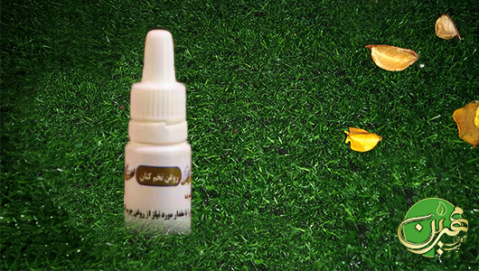 خرید روغن تخم کتان اصل - طبیب مهرین