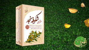 عطر طبیعی شکوفه سنجد - طبیب مهرین