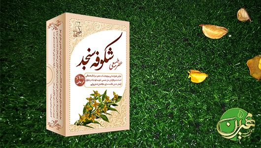 عطر طبیعی شکوفه سنجد - طبیب مهرین